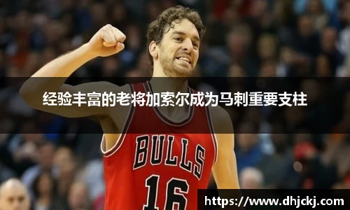 哈哈体育app