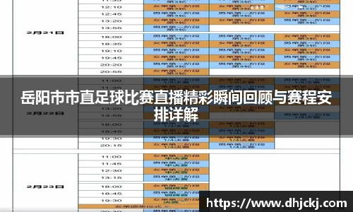 岳阳市市直足球比赛直播精彩瞬间回顾与赛程安排详解